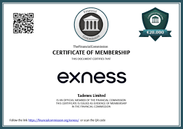 Exness Limited Reviews A Comprehensive Overview of the Broker